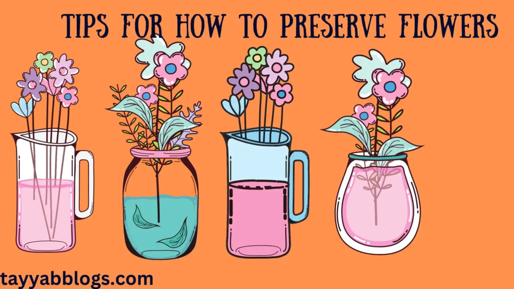 Tips for how to preserve flowers