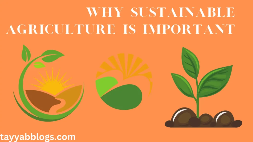 Why sustainable agriculture is important