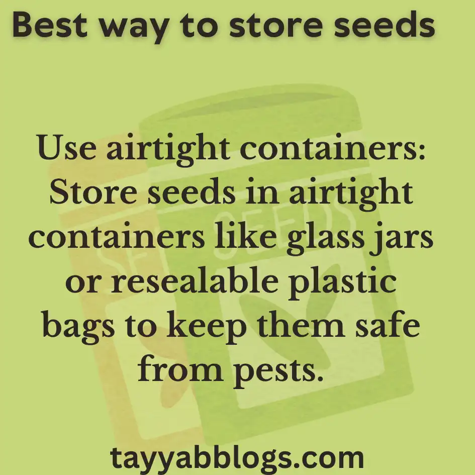 best way to store seeds under Natural condition