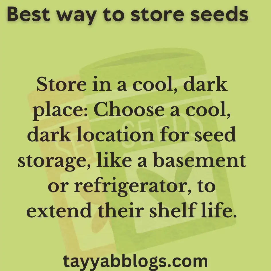 best way to store seeds under Natural condition