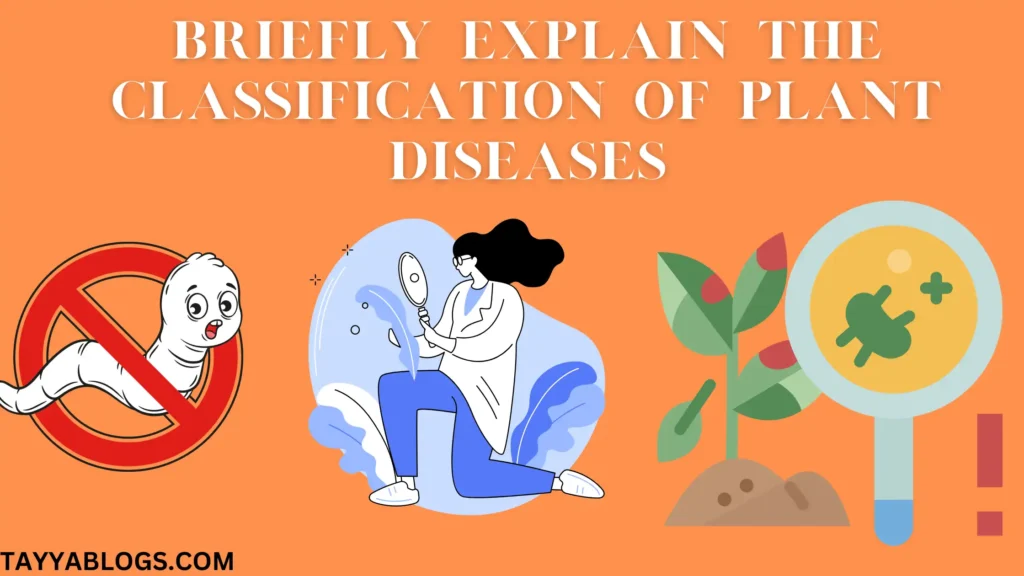 Briefly explain the Classification of Plant Diseases